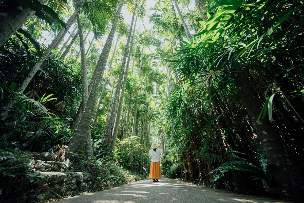 東南植物楽園