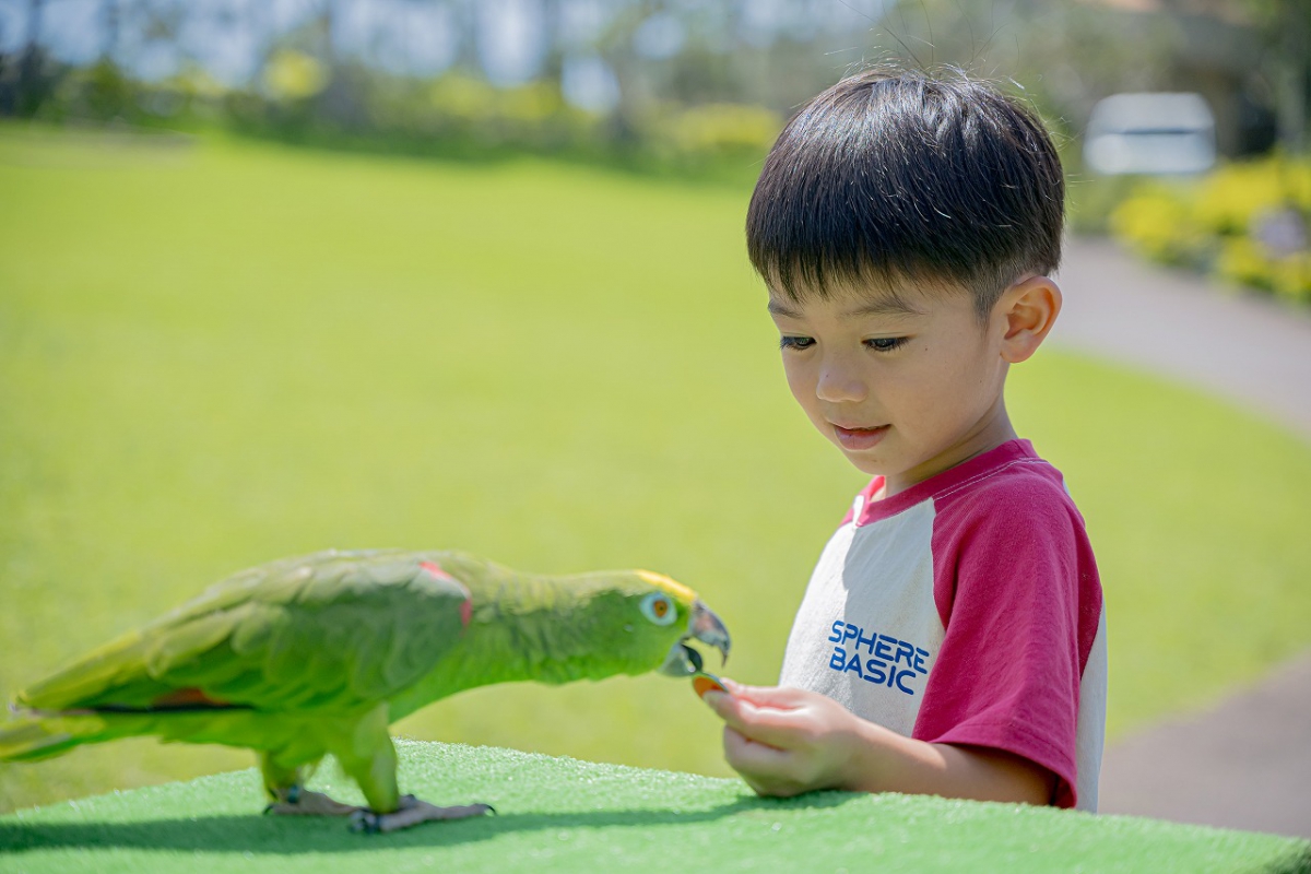 東南植物楽園