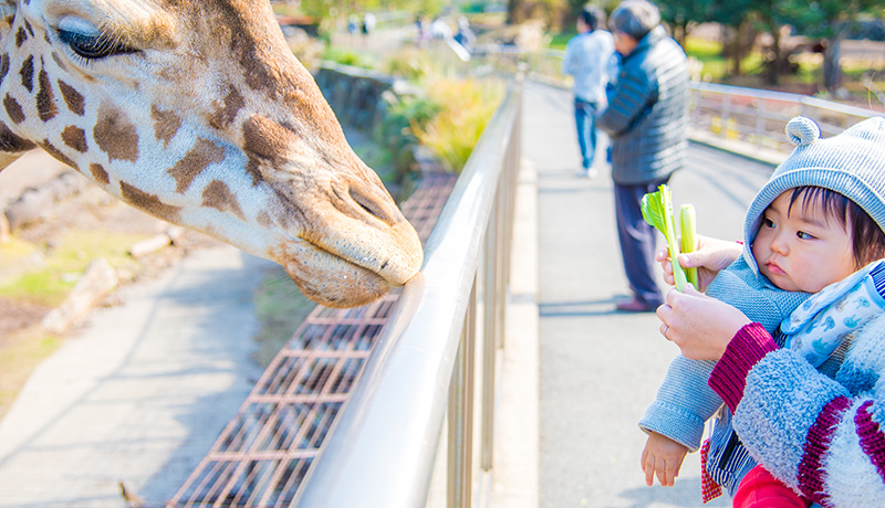 動物園