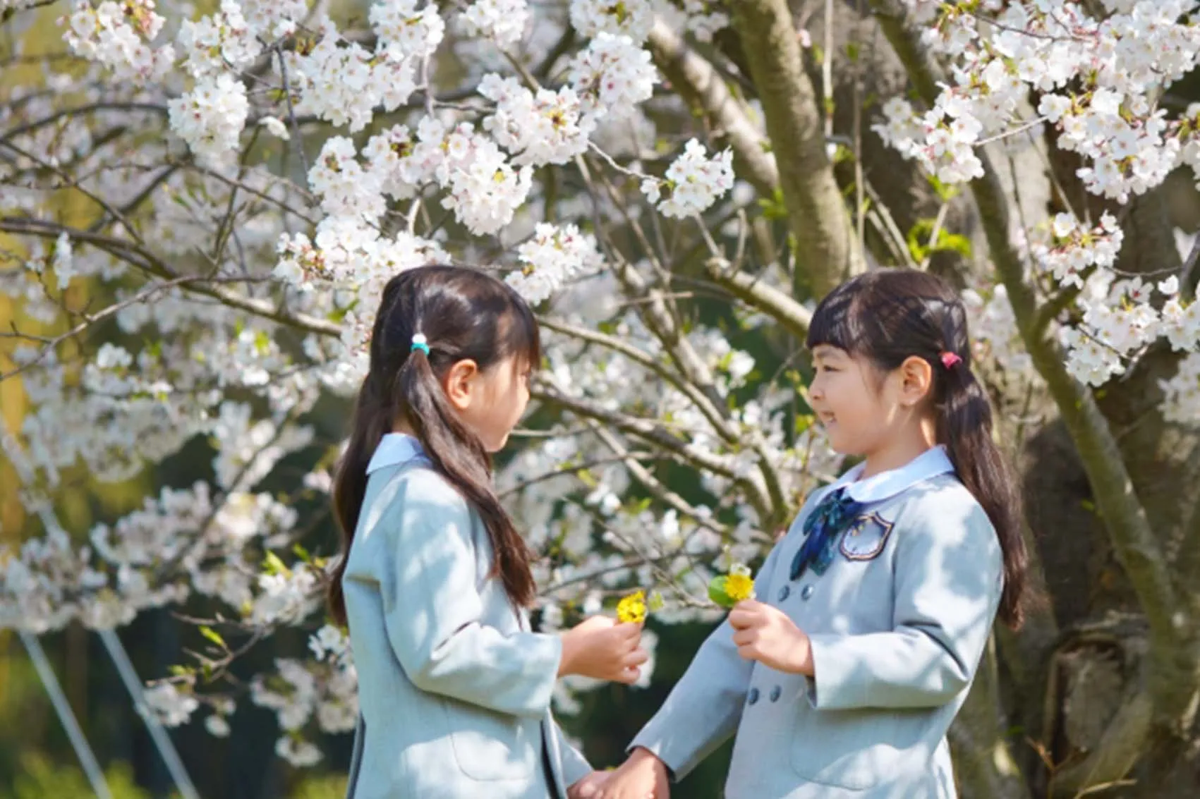 卒園旅行におすすめ！2〜3月が最適な時期の理由と行き先の選び方