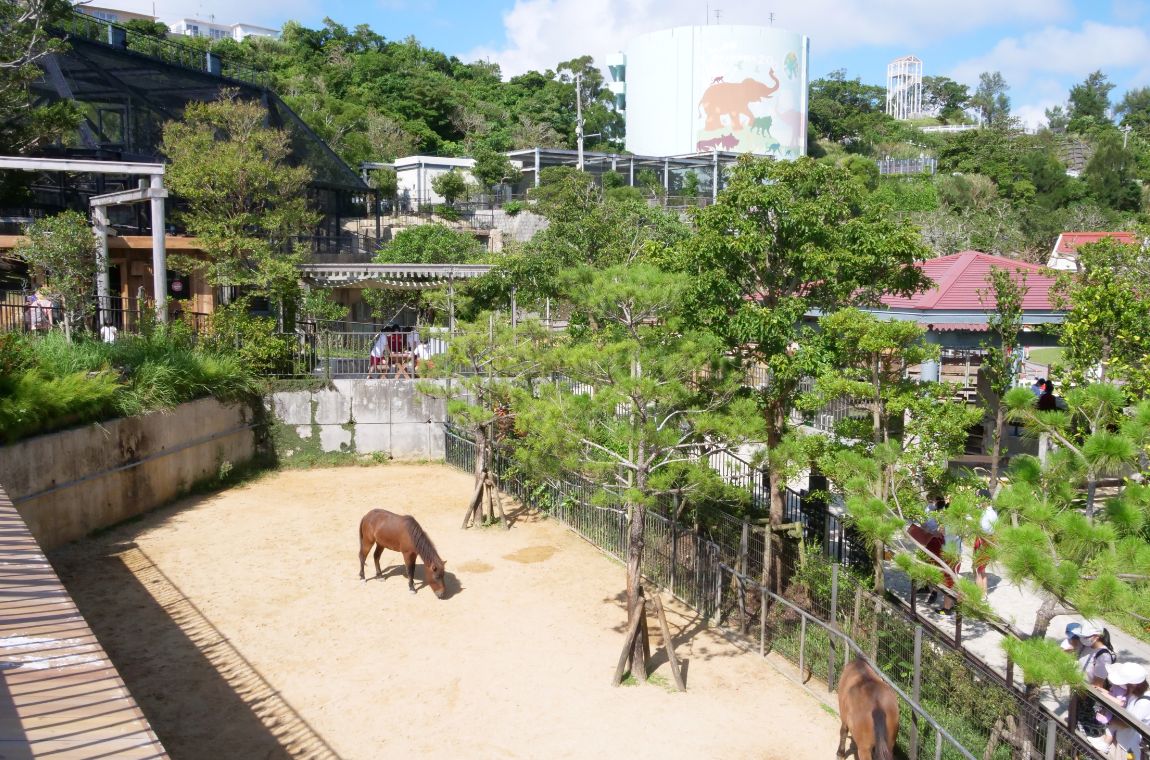 沖縄こどもの国