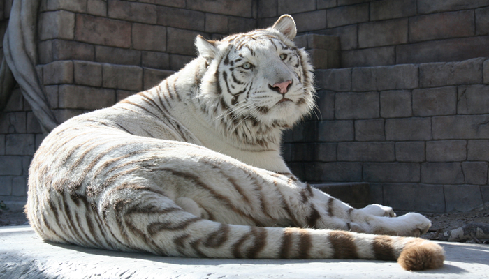 東武動物公園