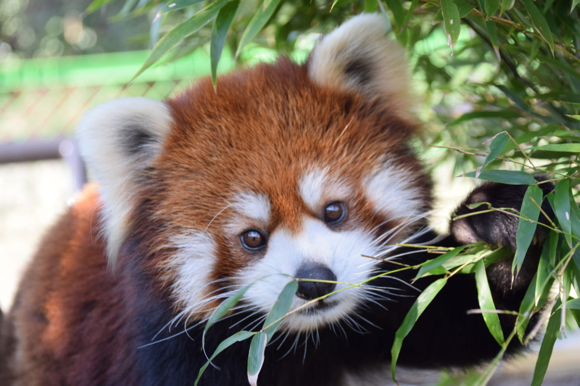 天王寺動物園